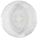 Plateau rond plastique diam:42.5cm Sabah M12-1