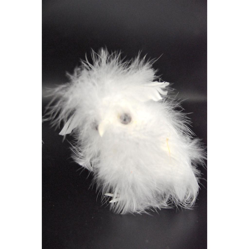 Suspension de noel oiseau  6pcs