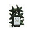 Boule de noel Etoile 7,5*7,5*2 6pcs Vert Pin