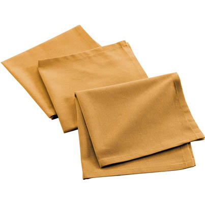 3 SERVIETTES DE TABLE 40 x 40 CM COTON UNI CHARLINE BLANC (copie)