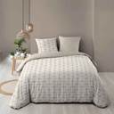 Parure 2P 140x200cm imprime 42fils allover lionceau 100% coton (copie)