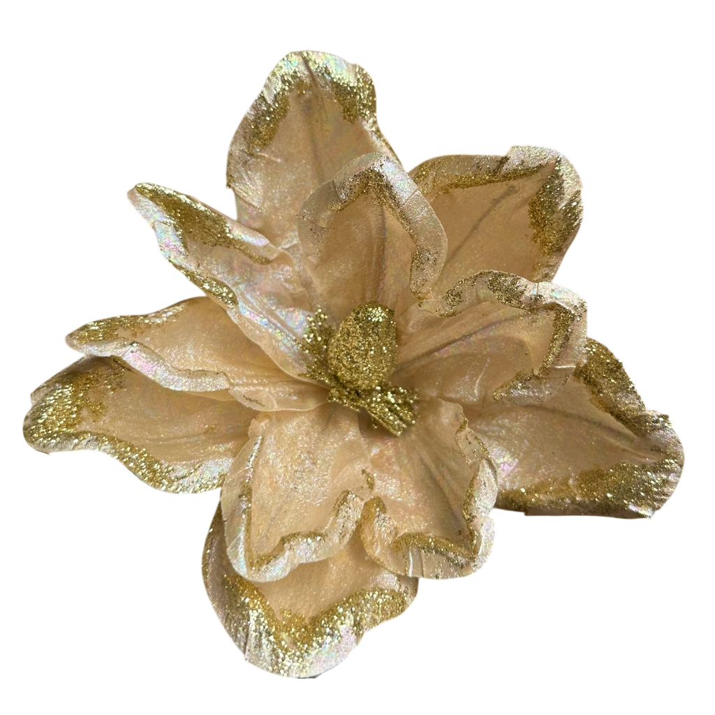 Poinsettia 26cm lot de 10