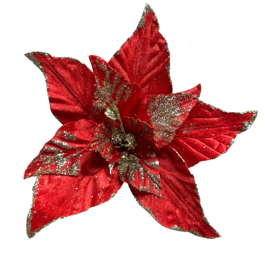 Poinsettia rouge 30cm 10pcs