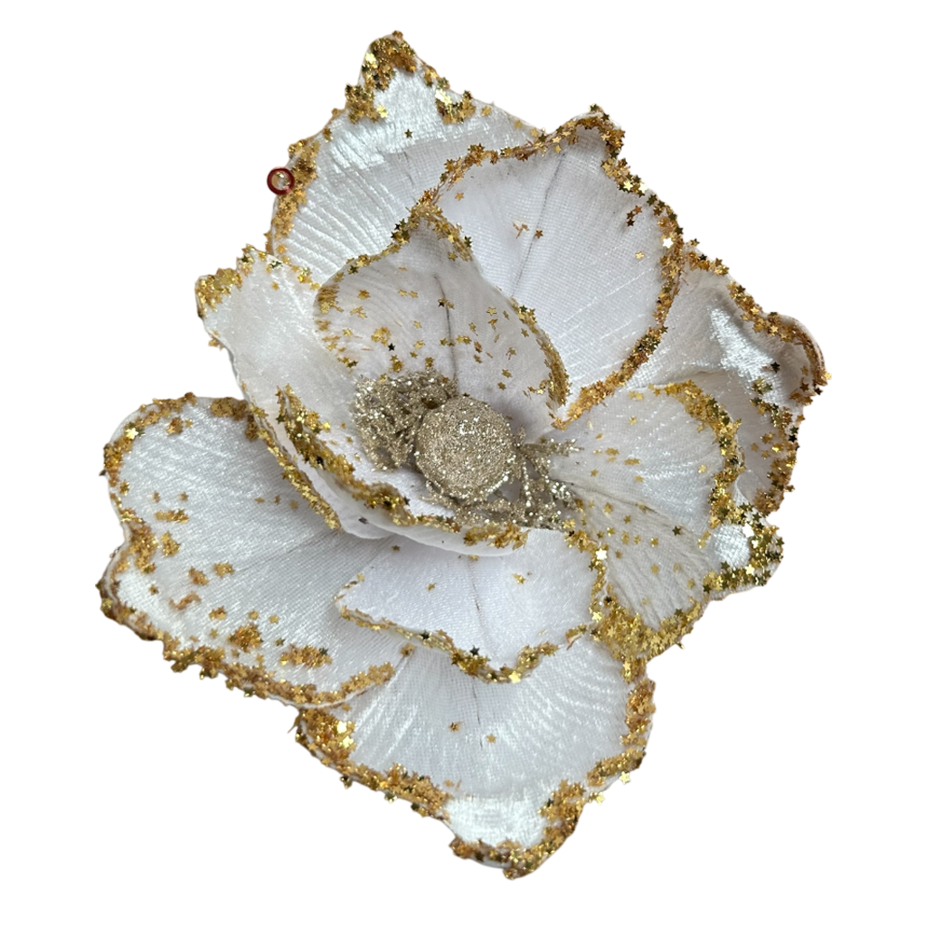 Poinsettia Blanc 10pcs