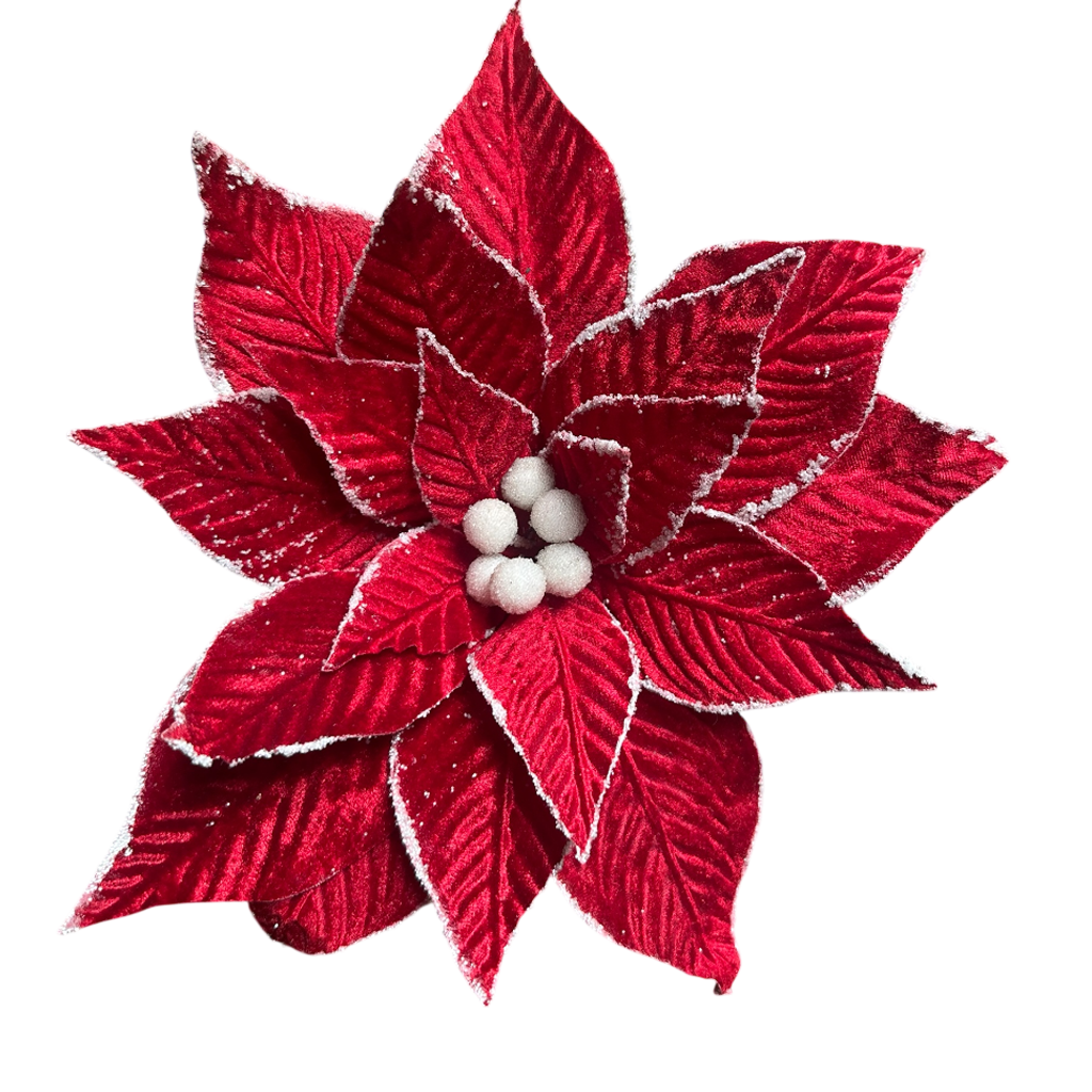 Fleur lot de 6