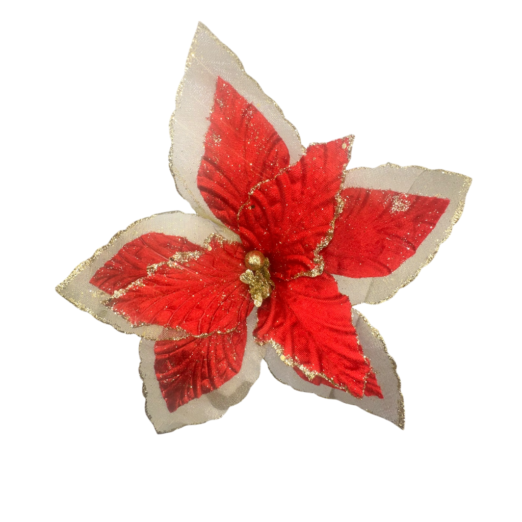 Poinsettia Rouge 10pcs