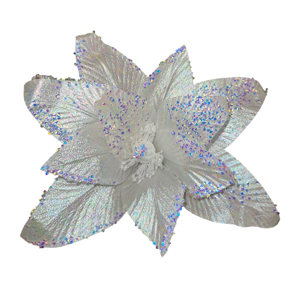 Poinsettia Blanc 10pcs