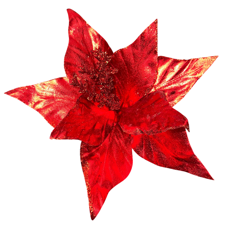 Poinsettia Rouge 10pcs