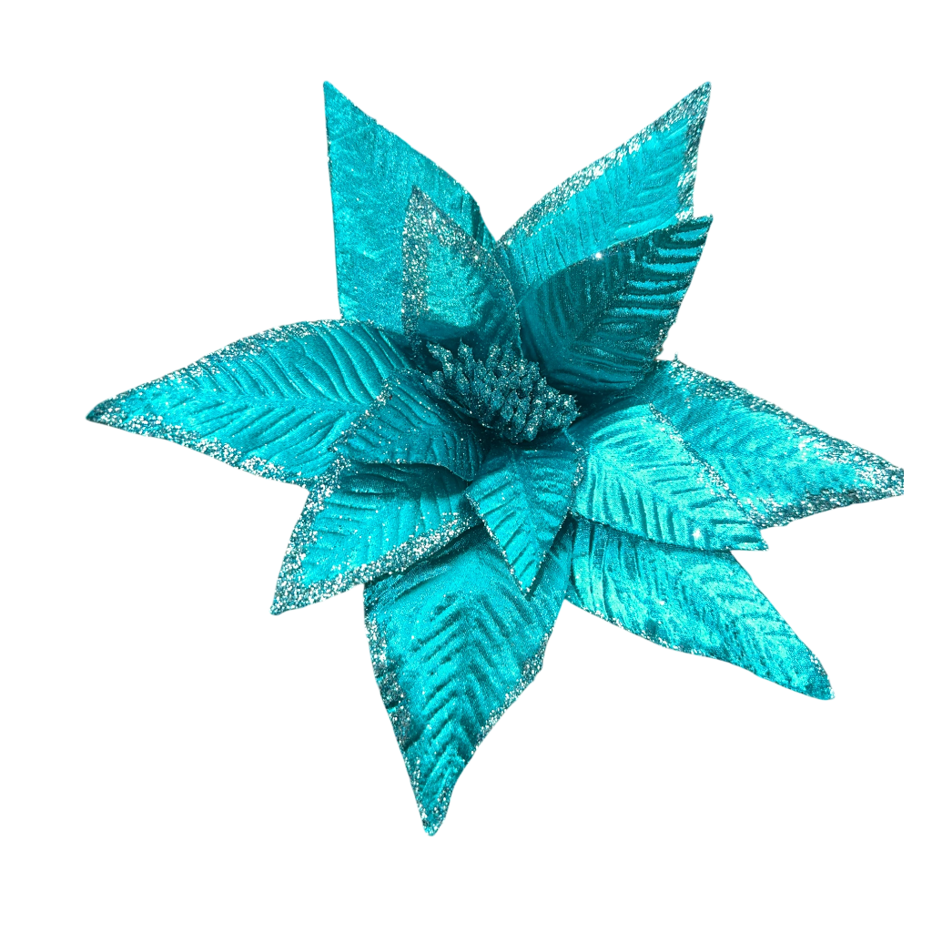 Poinsettia Bleu  Ciel 10pcs 