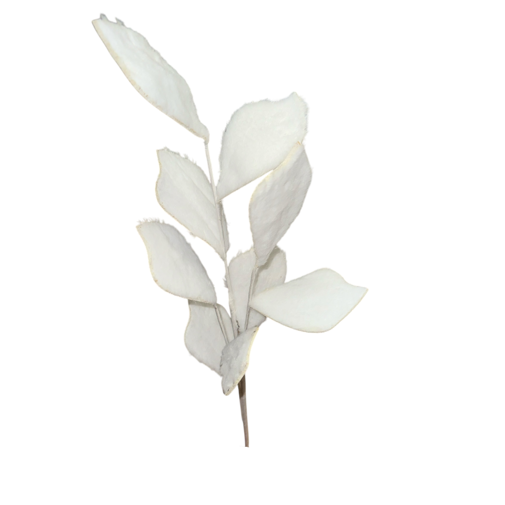 Feuillage Blanc 75cm 5pcs