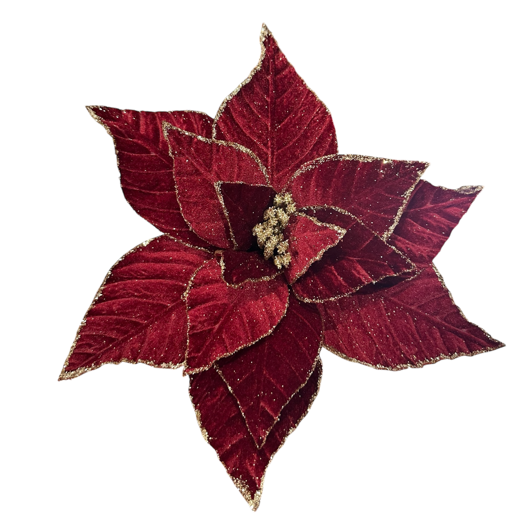 Poinsettia Bordeaux 10pcs