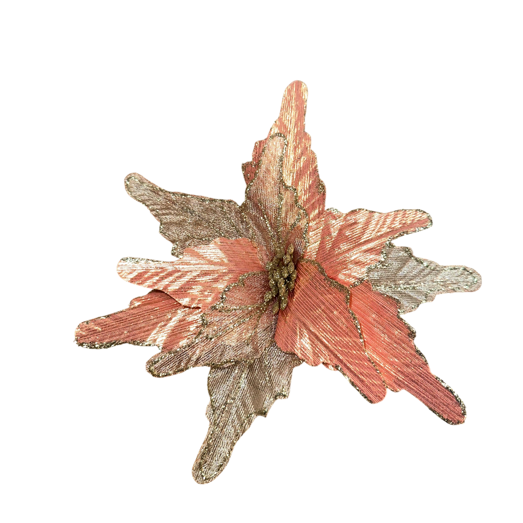 Poinsettia Saumon 10pcs