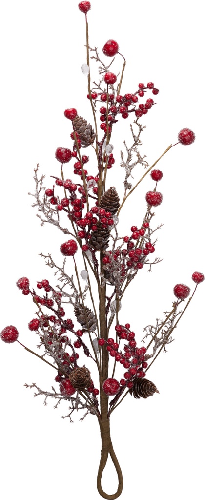 Tige de Baies Rouge 56cm