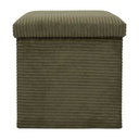 Coffre pouf pliable cotele Scott vert M4