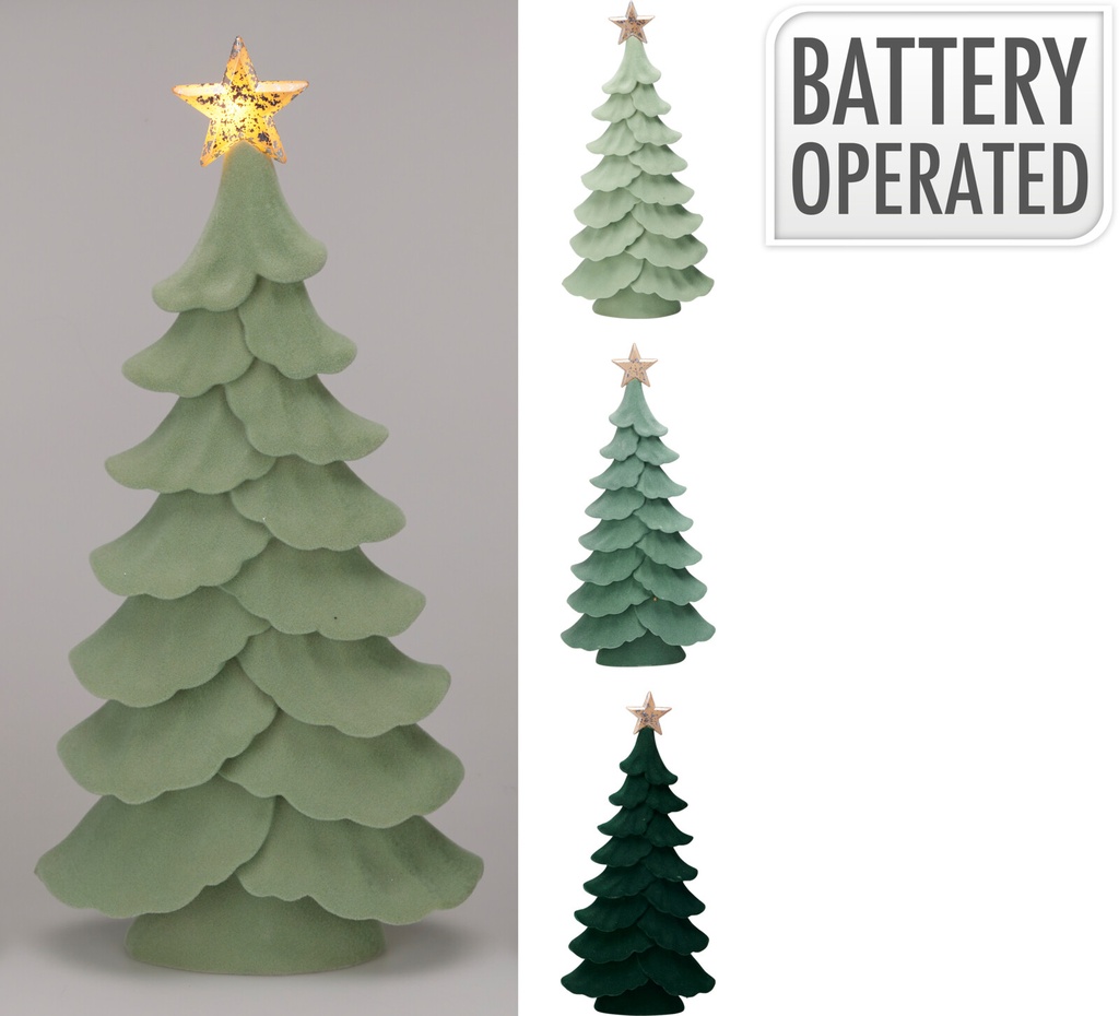 Sapin 29cm