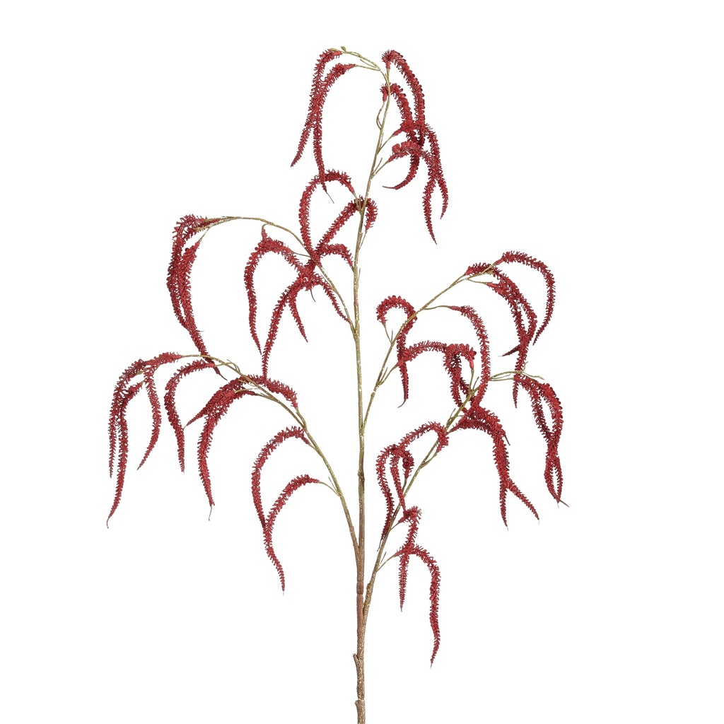 Saule rouge 108cm de longueur