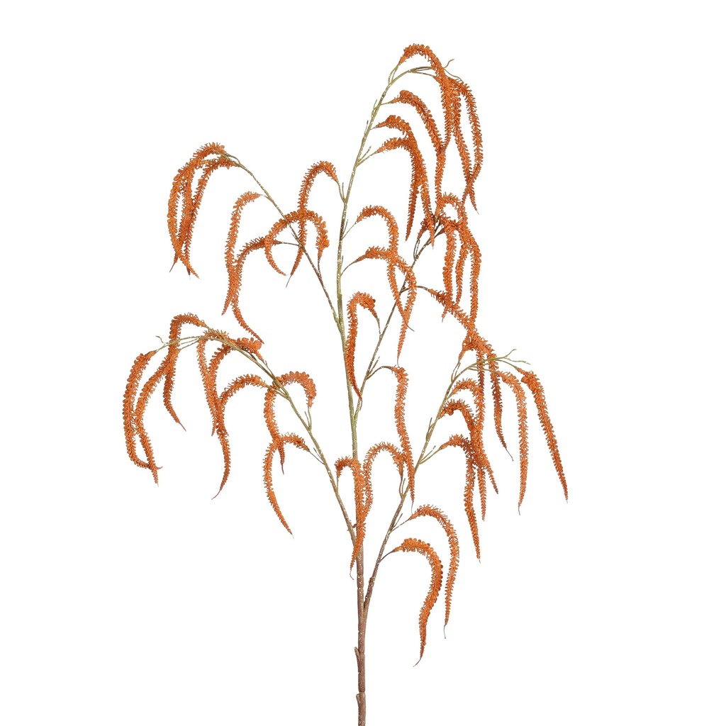 Saule orange 108cm de longueur
