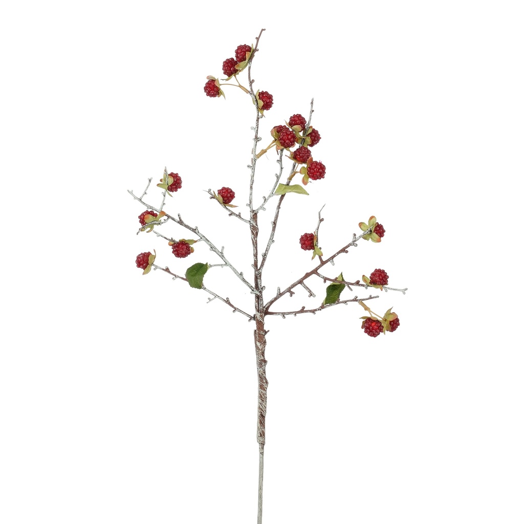 Rubus rouge 55cm de long