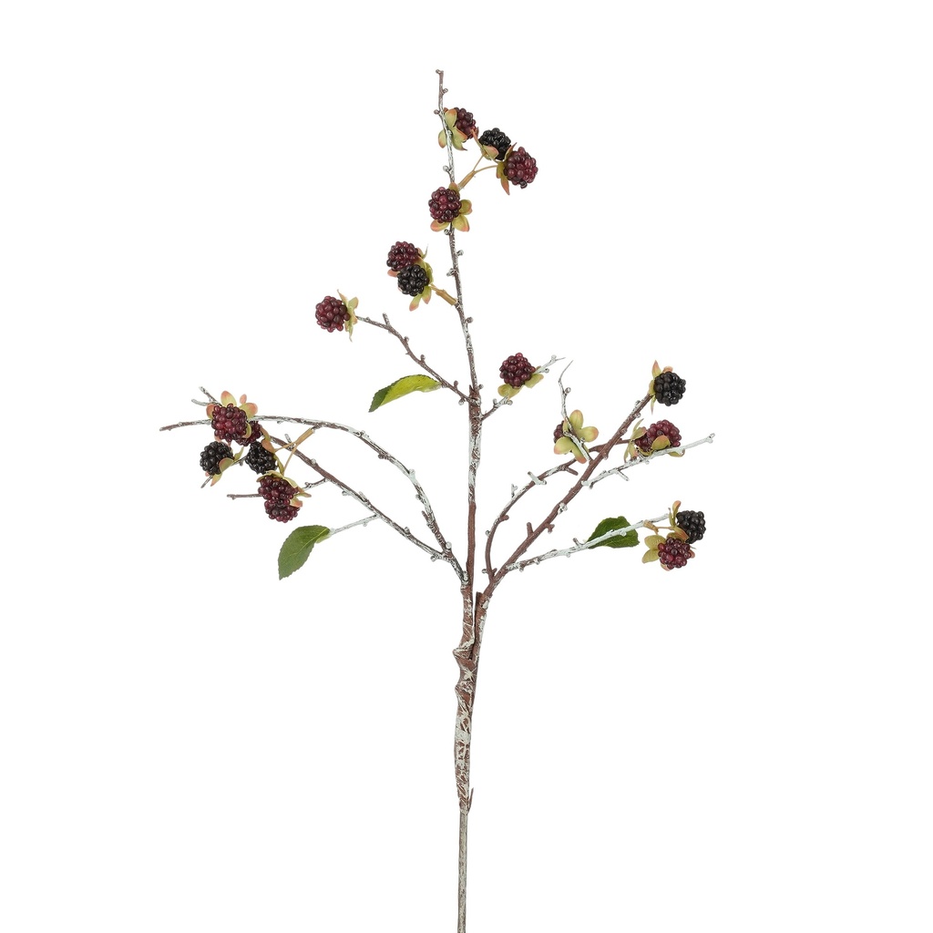 Rubus rouge foncé 55cm de long (copie)