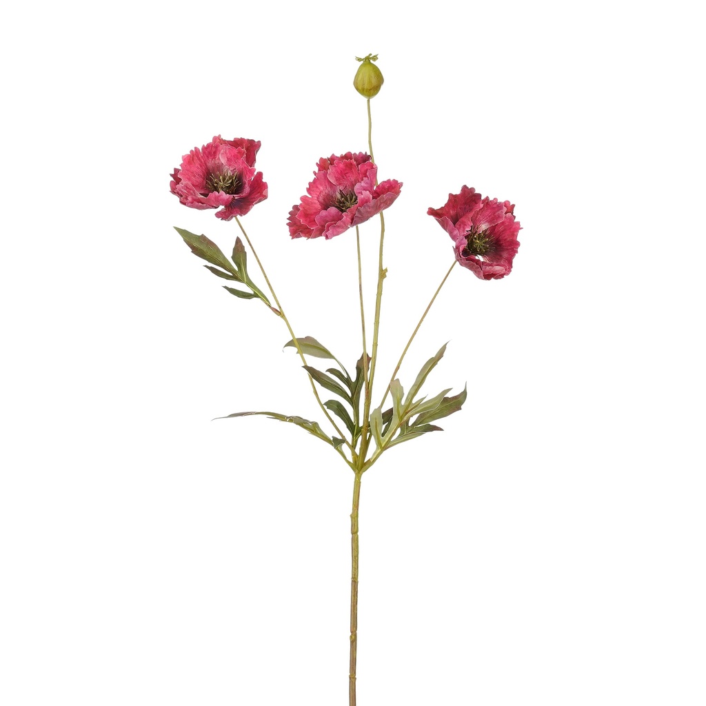 Coquelicot fushia 69cm de long