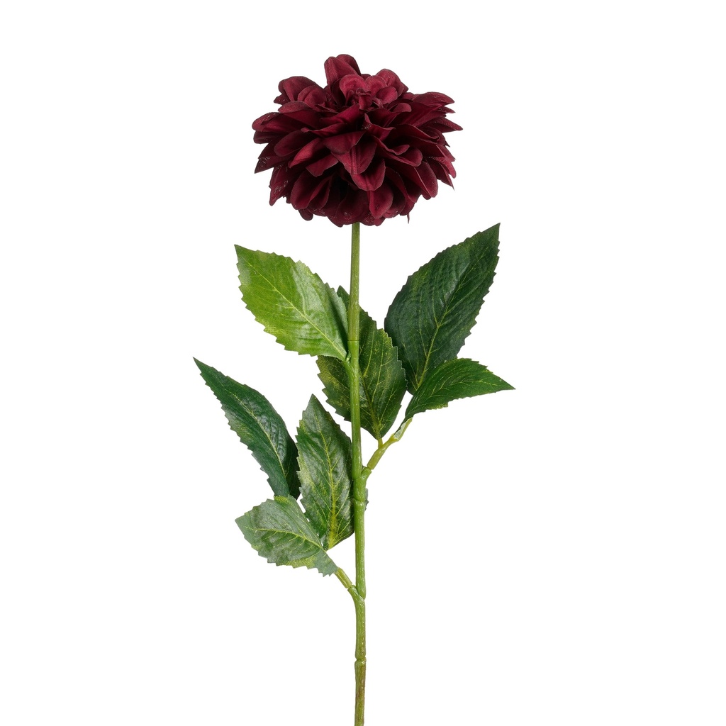 Dahlia bordeaux 57cm de long