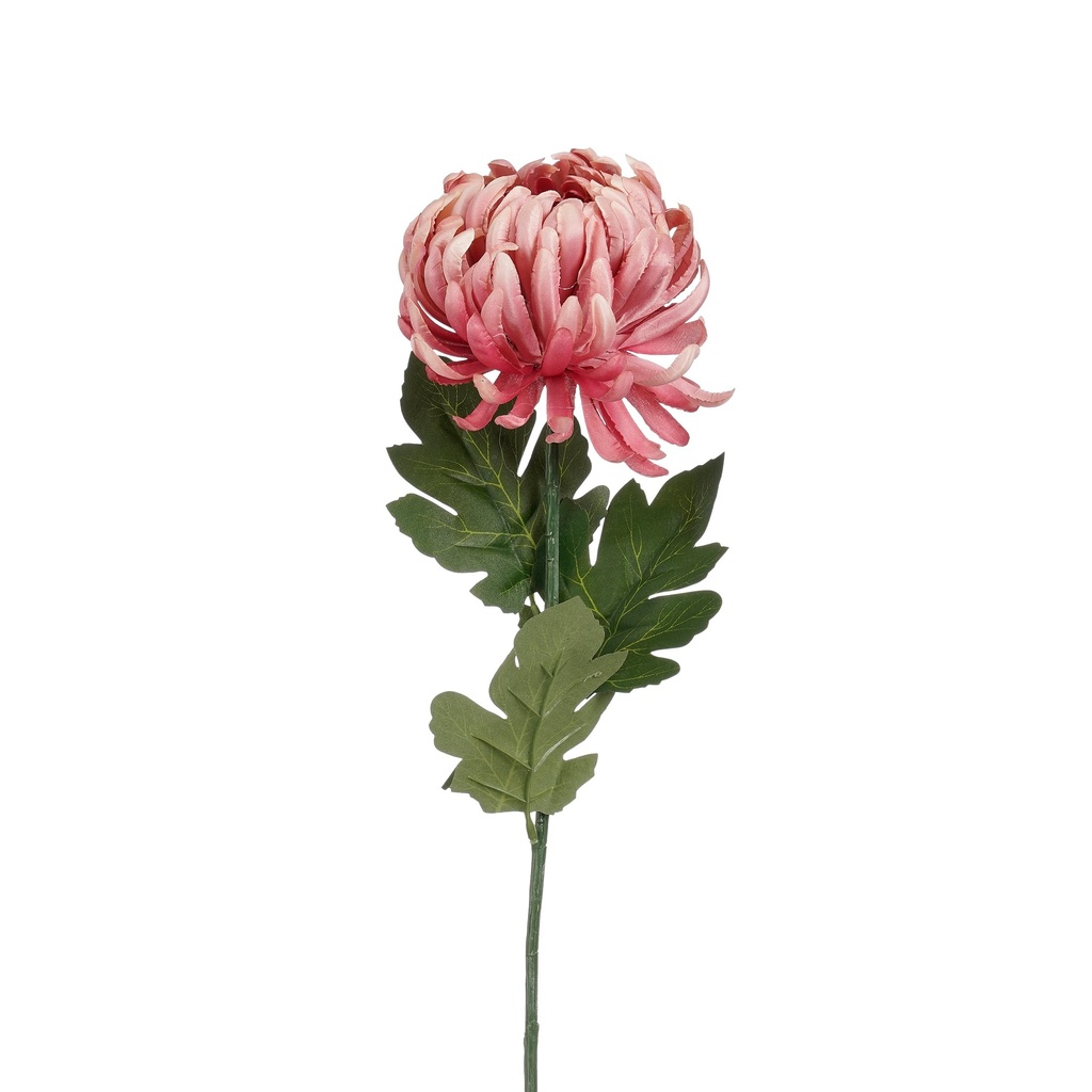 Chrysanthème rose 80cm de long