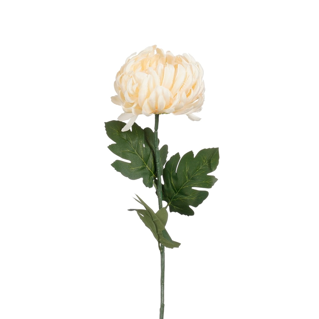 Chrysanthème crème 80cm de long 