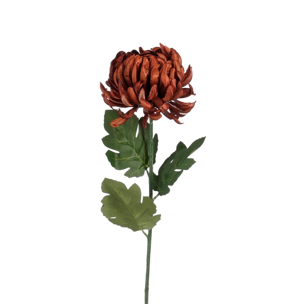 Chrysanthème brinze 80cm de long 
