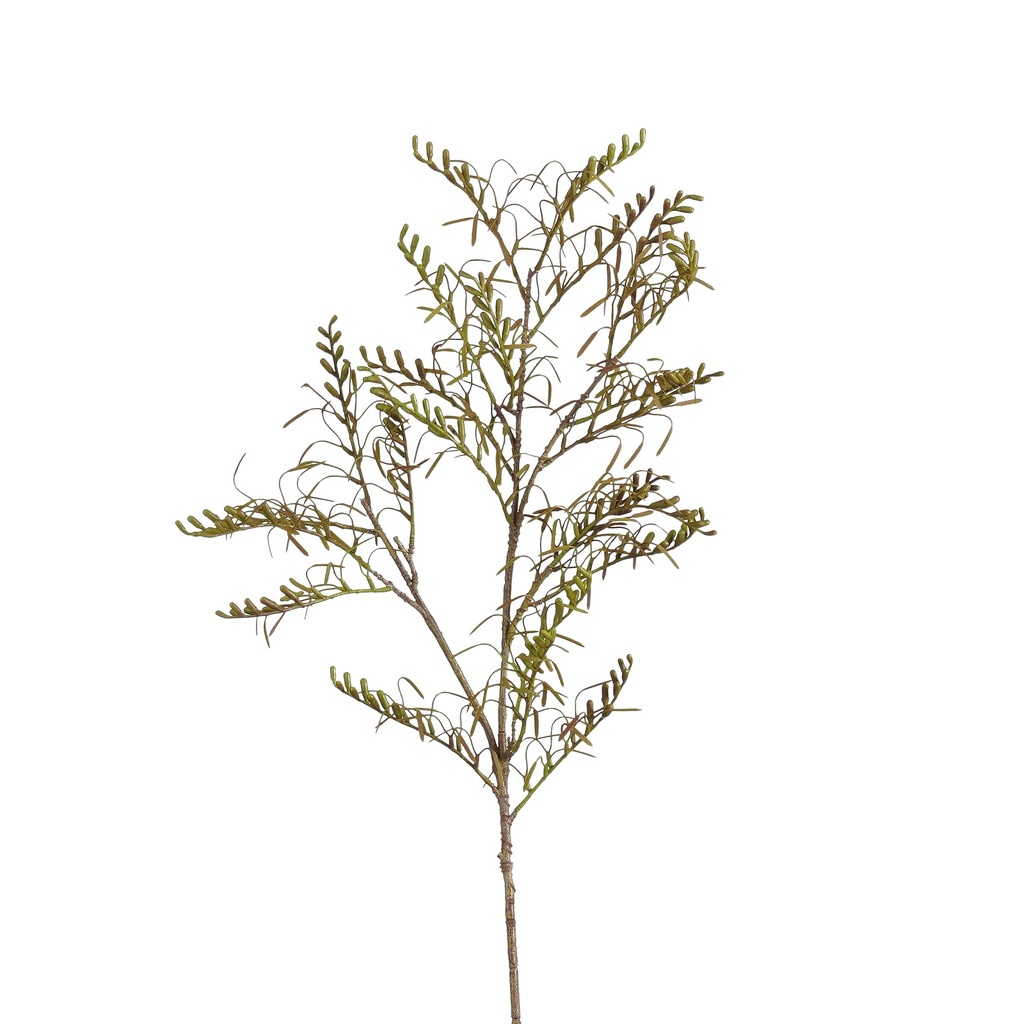 Fougère marron 100cm de long