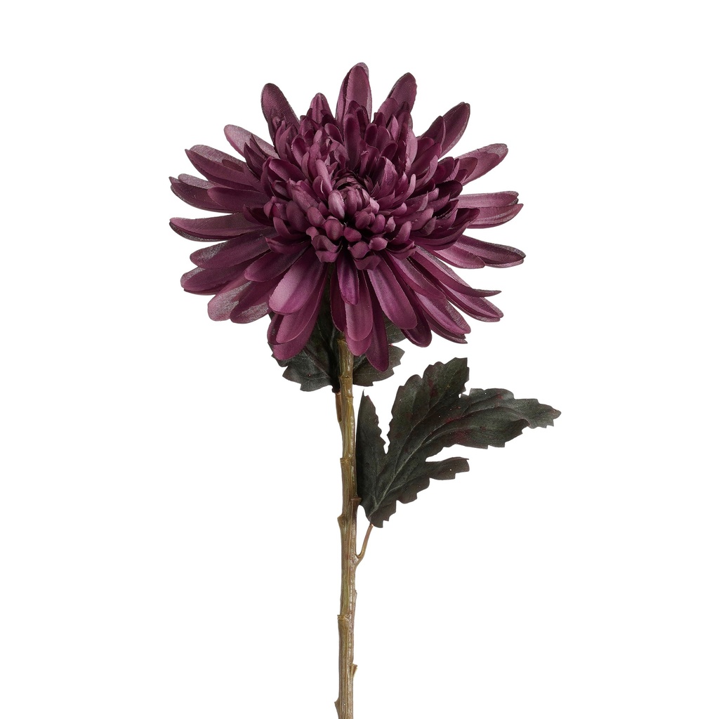 Chrysanthème violet 53cm de long