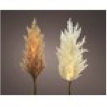 [KAE-485989] Micro LED branche herbes de pampas fixe BO 2 ass blanc chaud dia: 9 cm - H: 70 cm
