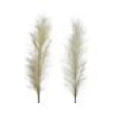 [KAE-704821] Plumet polyester 2 col assortie L: 3 cm - W: 35 cm - H: 120 cm