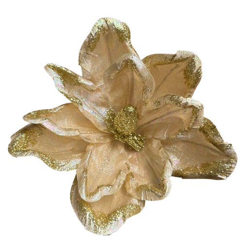 [LT-221] Poinsettia 26cm lot de 10