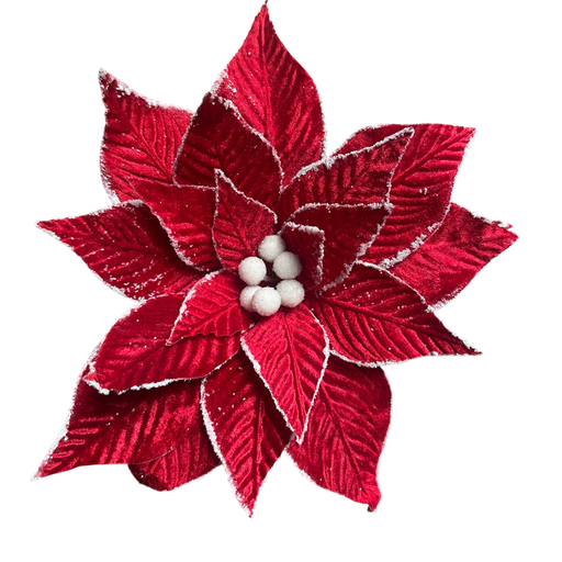 [LT-294] Poinsettia Rouge 6pcs