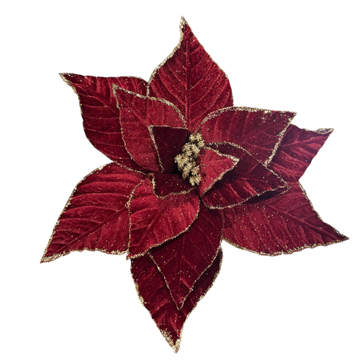 [LT-310] Poinsettia Bordeaux 10pcs